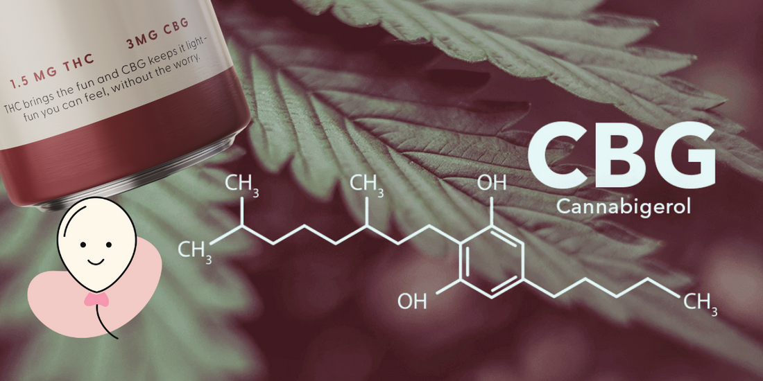 Why We Prefer CBG Over CBD: The Fun Stuff